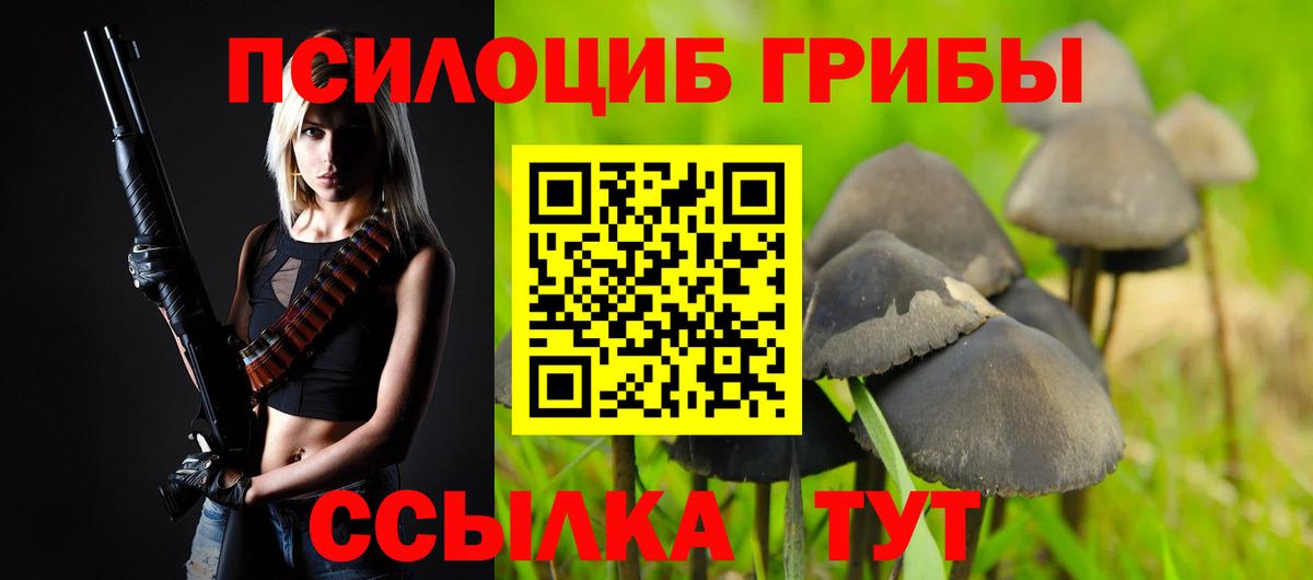 Заринск  Галлюциногенные грибы GOLDEN TEACHER  Галлюциногенные грибы мицелий  Вход с VPN 